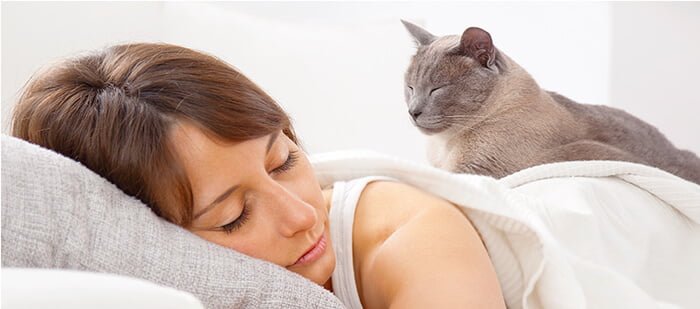 ¿Por qué a los Gatos les Encanta Dormir Sobre Nosotros?
