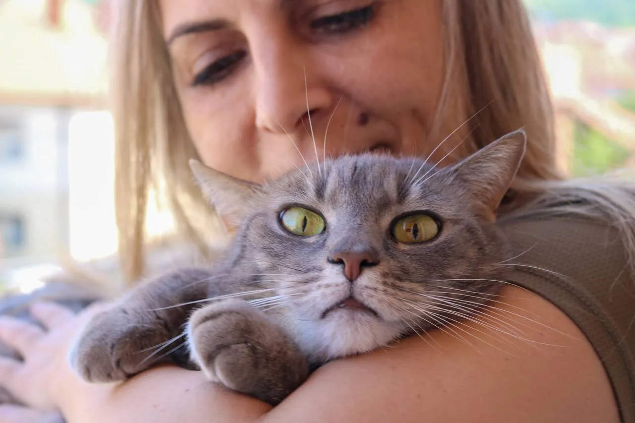 ¿Cuánto tiempo tarda un gato en olvidar a su dueño?