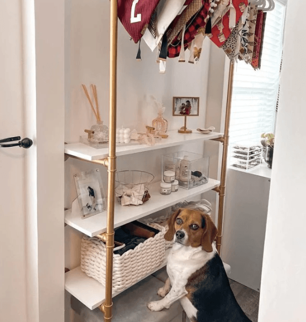 Perrita tiene la reacción más dulce al ver la foto de su amiga que falleció