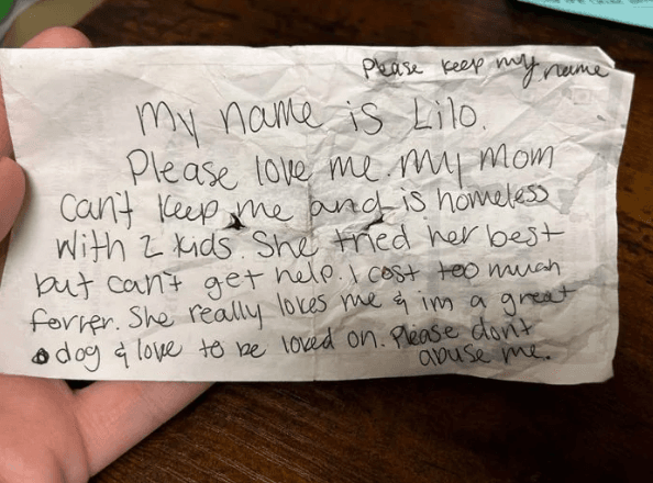 La historia de Lilo, la perrita que fue encontrada con una carta que rompió corazones
