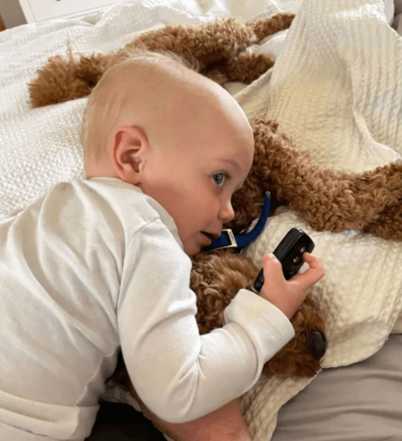 Niño y su perrita crecen juntos y se vuelven amigos inseparables