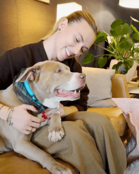 Scarlett Johansson tiene una cita a ciegas con una perrita rescatada de 12 años